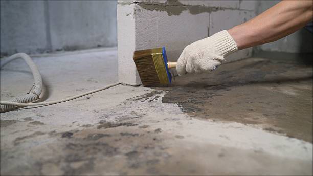 Top rated local Waterproofing specialists in New Liberty, KY